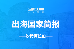 Ebpay数码GO GLOBAL | 沙特阿拉伯国家简报